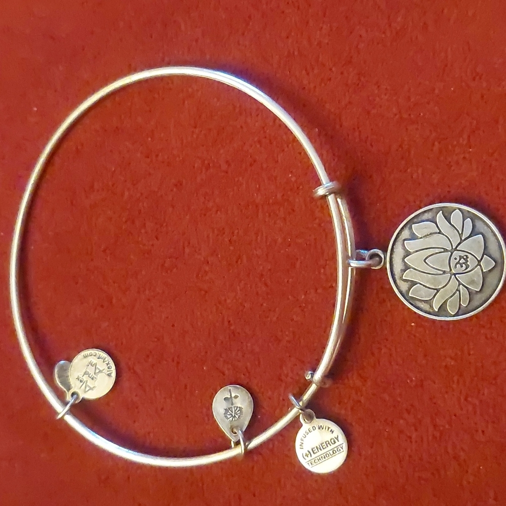 Alex and Ani Energy Charm Bracelet Lotus Flower, 2012
